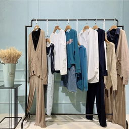 捕捉前端流行要素,還有國際化裁剪工藝 品牌女裝折扣衣佰匯批發走份