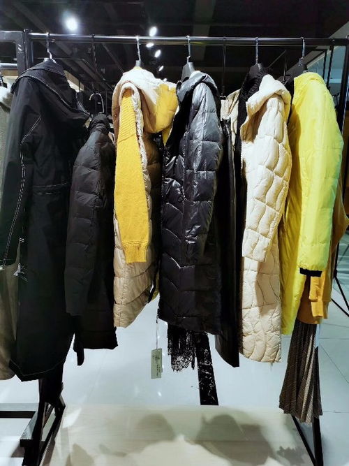 【廣東品牌折扣女裝羽絨服專賣店網(wǎng)店庫(kù)存商品廠家批發(fā)貨源】-